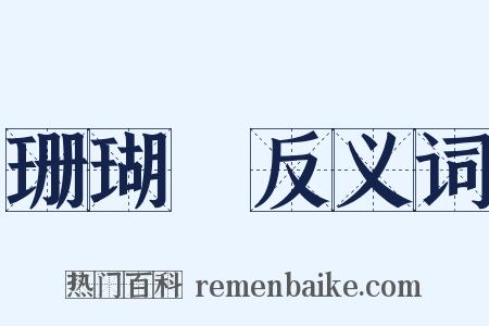 珊瑚網反义词是什么意思的图片